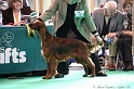 Crufts2011 103
